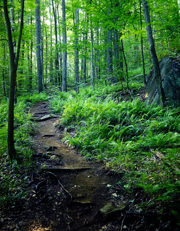 Click back to thumbnails