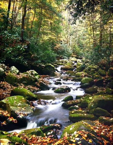 Click back to thumbnails