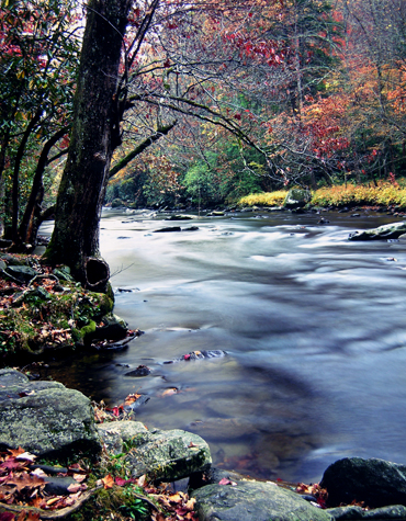 Click back to thumbnails