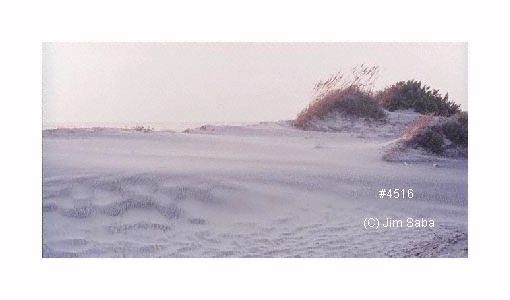 Click back to thumbnails