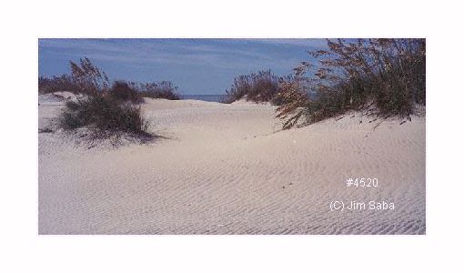 Click back to thumbnails