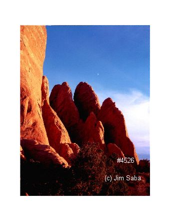 Click back to thumbnails