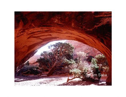 Click back to thumbnails