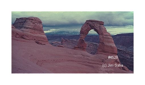 Click back to thumbnails