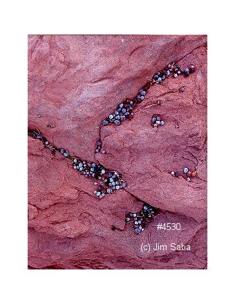 Click back to thumbnails