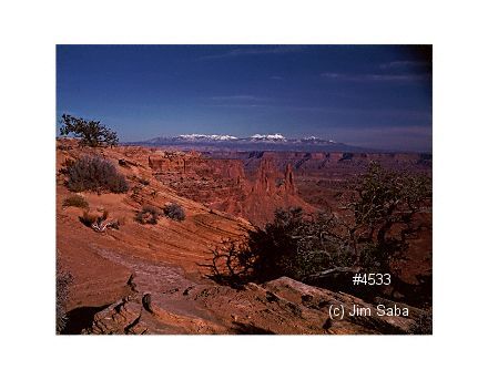 Click back to thumbnails