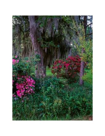 Click back to thumbnails