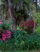 Azalea Garden