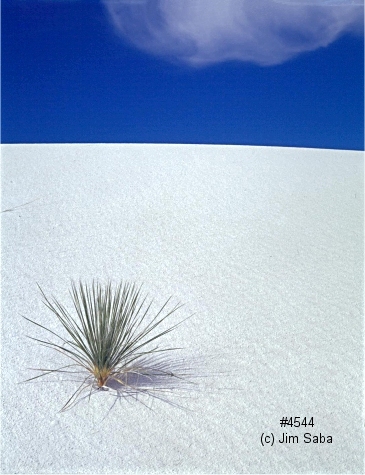 Click back to thumbnails