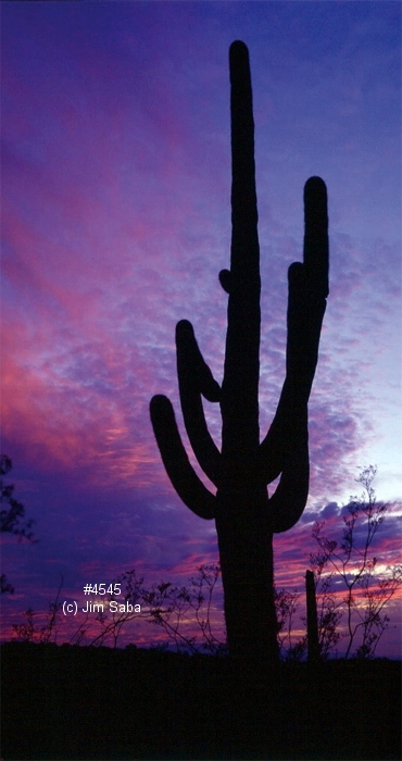 Click back to thumbnails