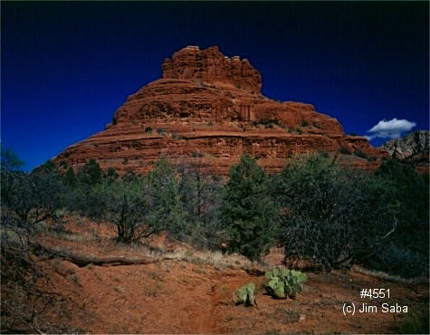 Click back to thumbnails