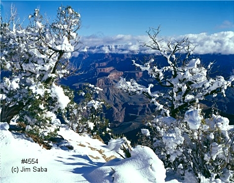 Click back to thumbnails