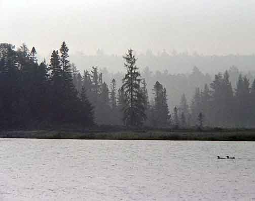 Click back to thumbnails