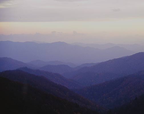 Click back to thumbnails