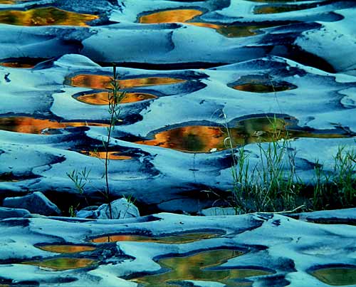 Click back to thumbnails