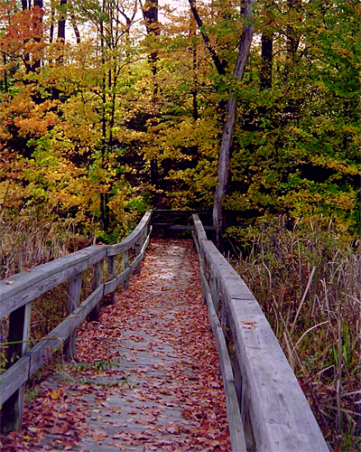 Click back to thumbnails