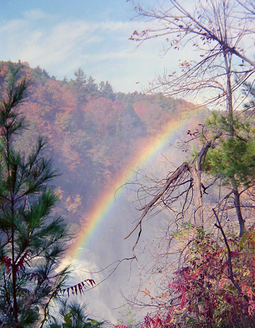 Click back to thumbnails